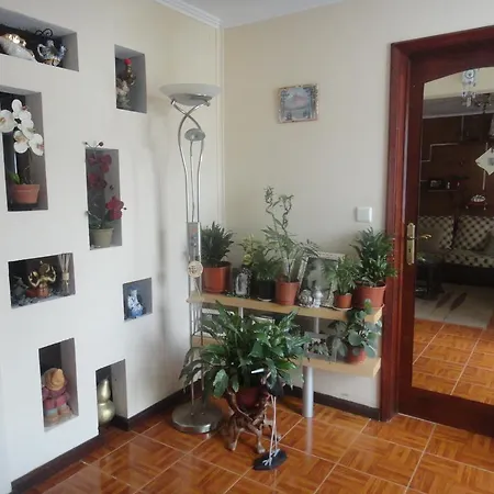 Sandra Hause Ponta Delgada (Sao Miguel)